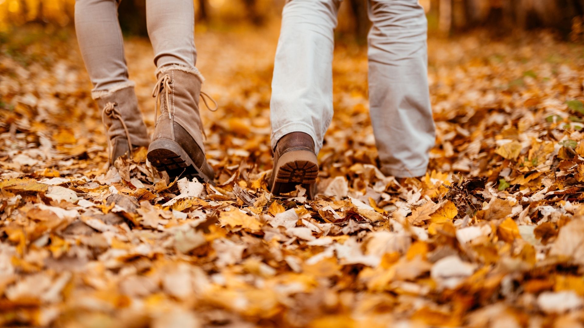 Голод осень. Осенняя листва под ногами. Листья под ногами. Осенние листья под ногами. Осень ноги пара.
